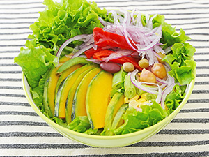 hojincardcom-osusume-lunchbox-middle-02